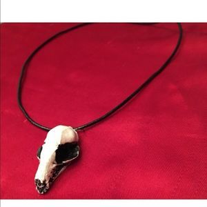 Bat Skull Taxidermy Necklace